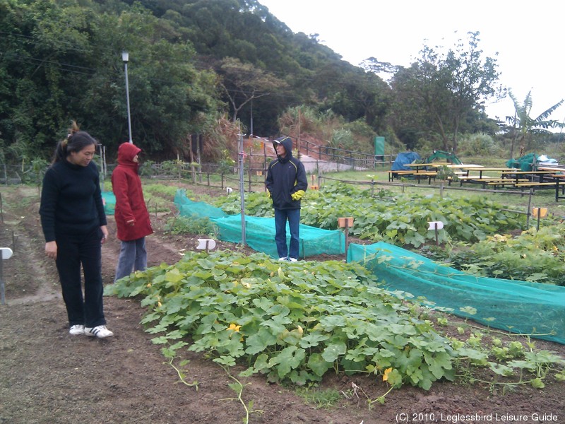 20100215Farm Visit12.jpg